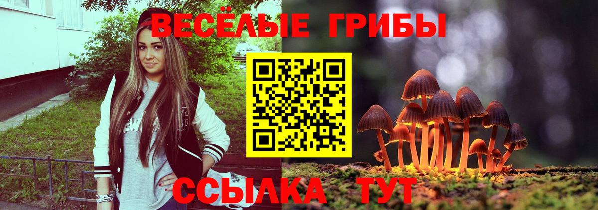 Обнинск  Псилоцибиновые грибы прущие грибы  Вход с VPN 